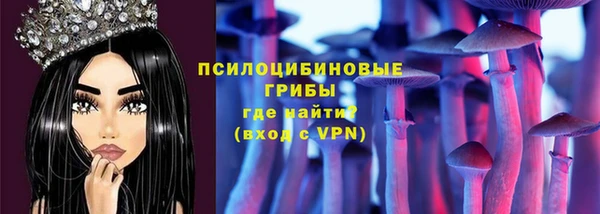 тгк Гусь-Хрустальный