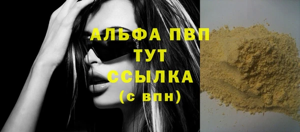 амф Гусев