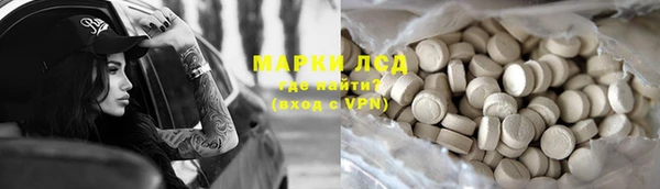 амф Гусев