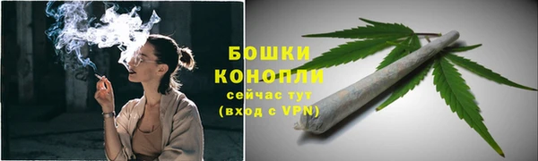 тгк Гусь-Хрустальный