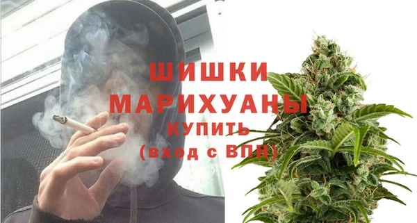 молекула духа Горно-Алтайск