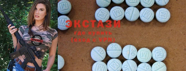 амф Гусев